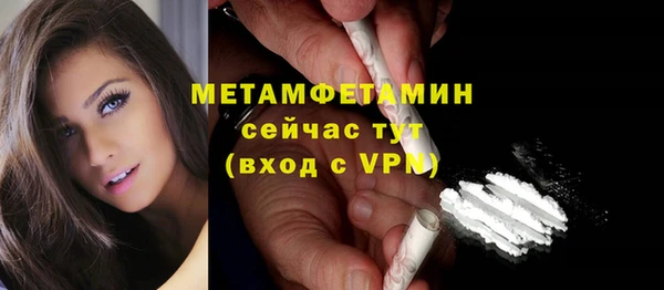 спиды Пересвет