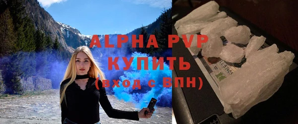 спиды Пересвет