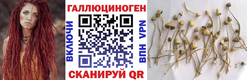 hydra зеркало  Коломна  Галлюциногенные грибы GOLDEN TEACHER 