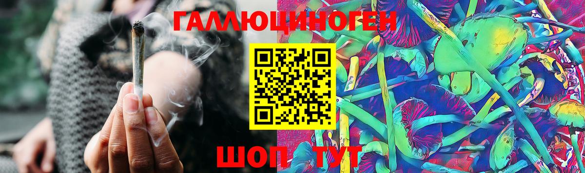 где найти   Псилоцибиновые грибы Psilocybe  Вход с VPN  Коломна 