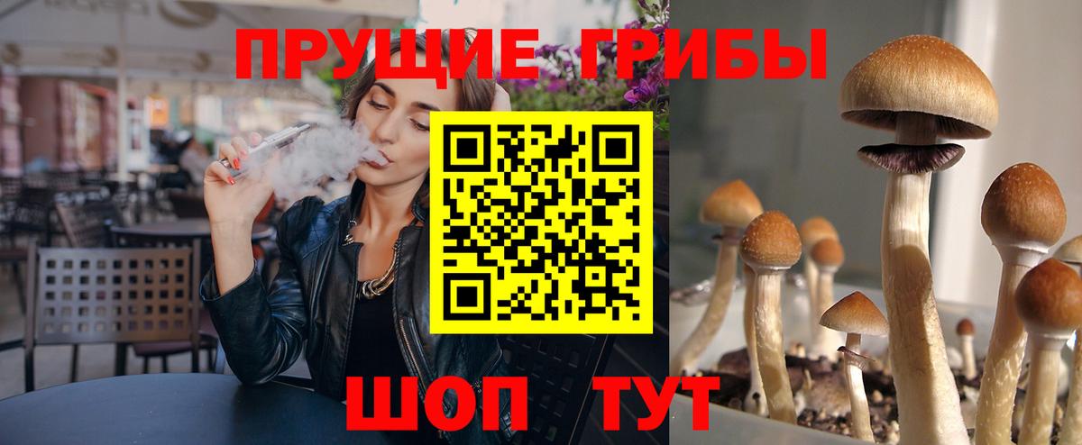 Галлюциногенные грибы прущие грибы Коломна